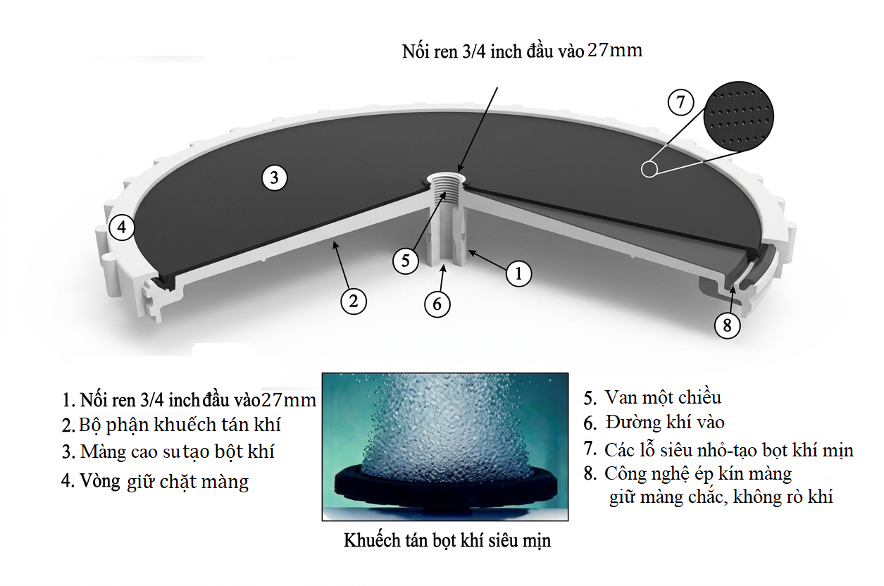 cấu tạo đĩa phân phối khí đĩa phân phối khí tinh Veratti
